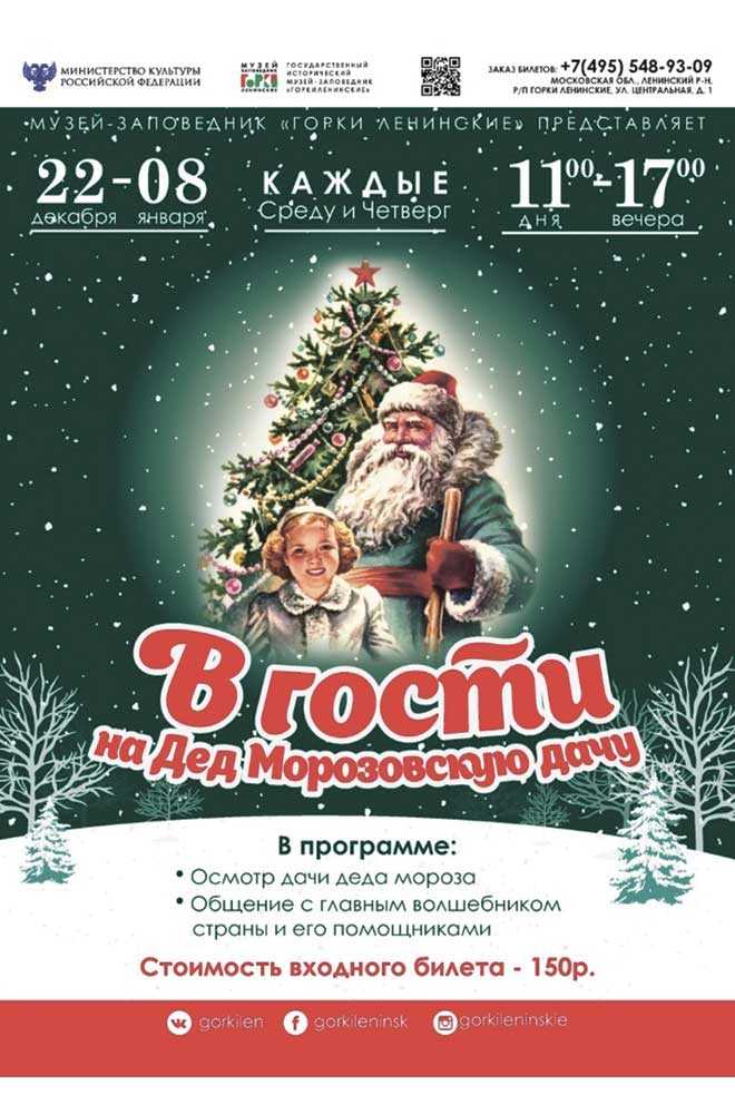 Из Домодедово в Горки на Дед Морозовскую дачу и Новогодние Ёлки